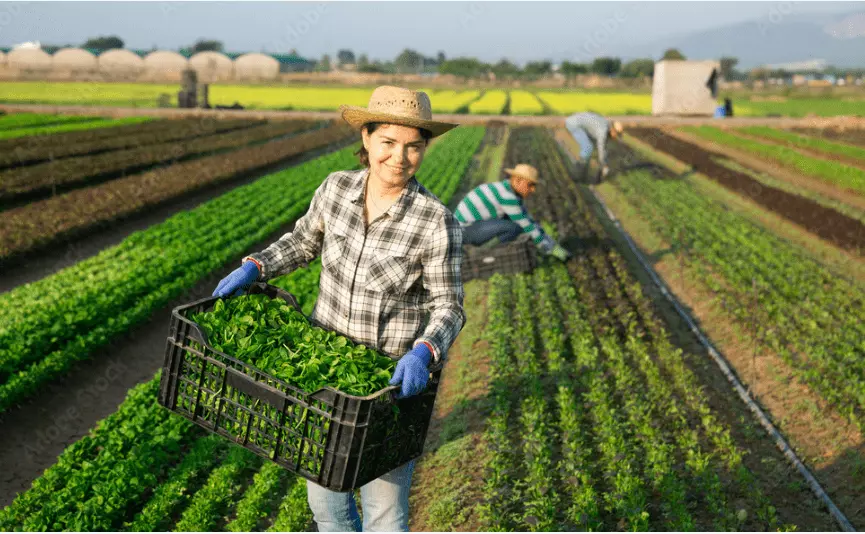 aplicativo para agronegócio farms agricultura mapas de satélite previsão do tempo medição de área polígonos ndvi