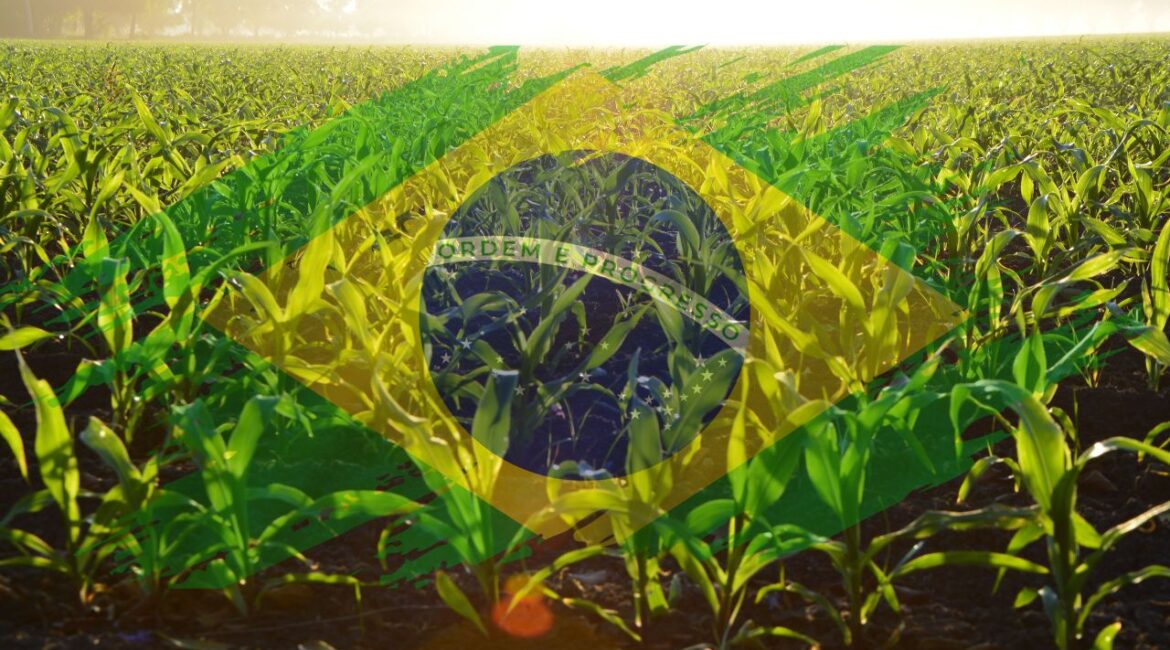 aplicativo para agronegócio farms agricultura mapas de satélite previsão do tempo medição de área polígonos Curiosidades sobre a Agricultura Brasileira