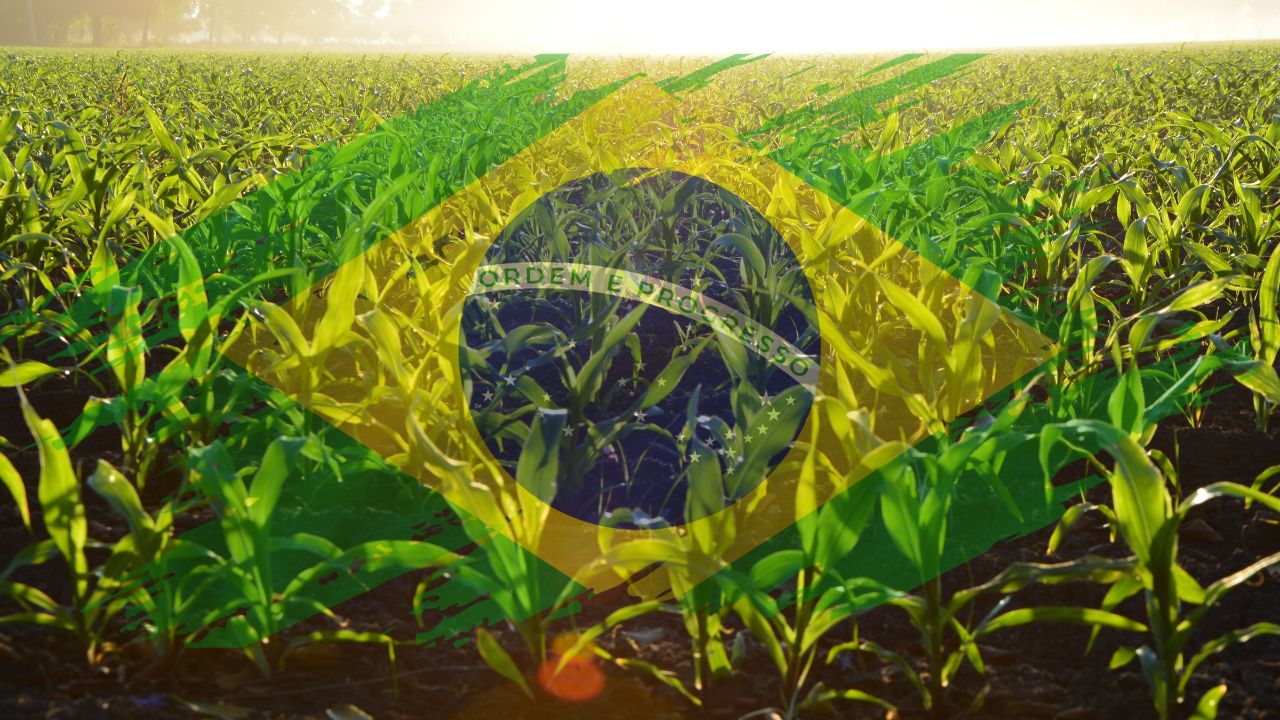 Curiosidades sobre a Agricultura Brasileira: Descubra o Potencial do Agronegócio para 2030