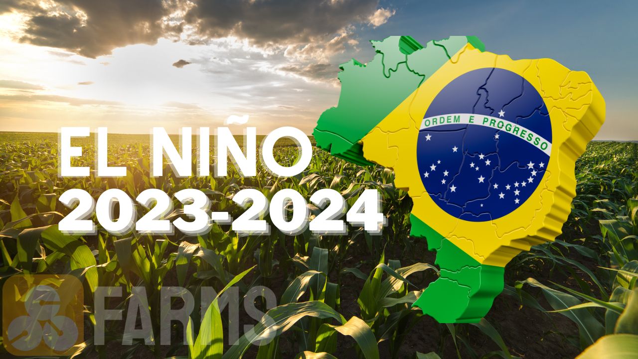 O Impacto do El Niño na Agricultura Brasileira