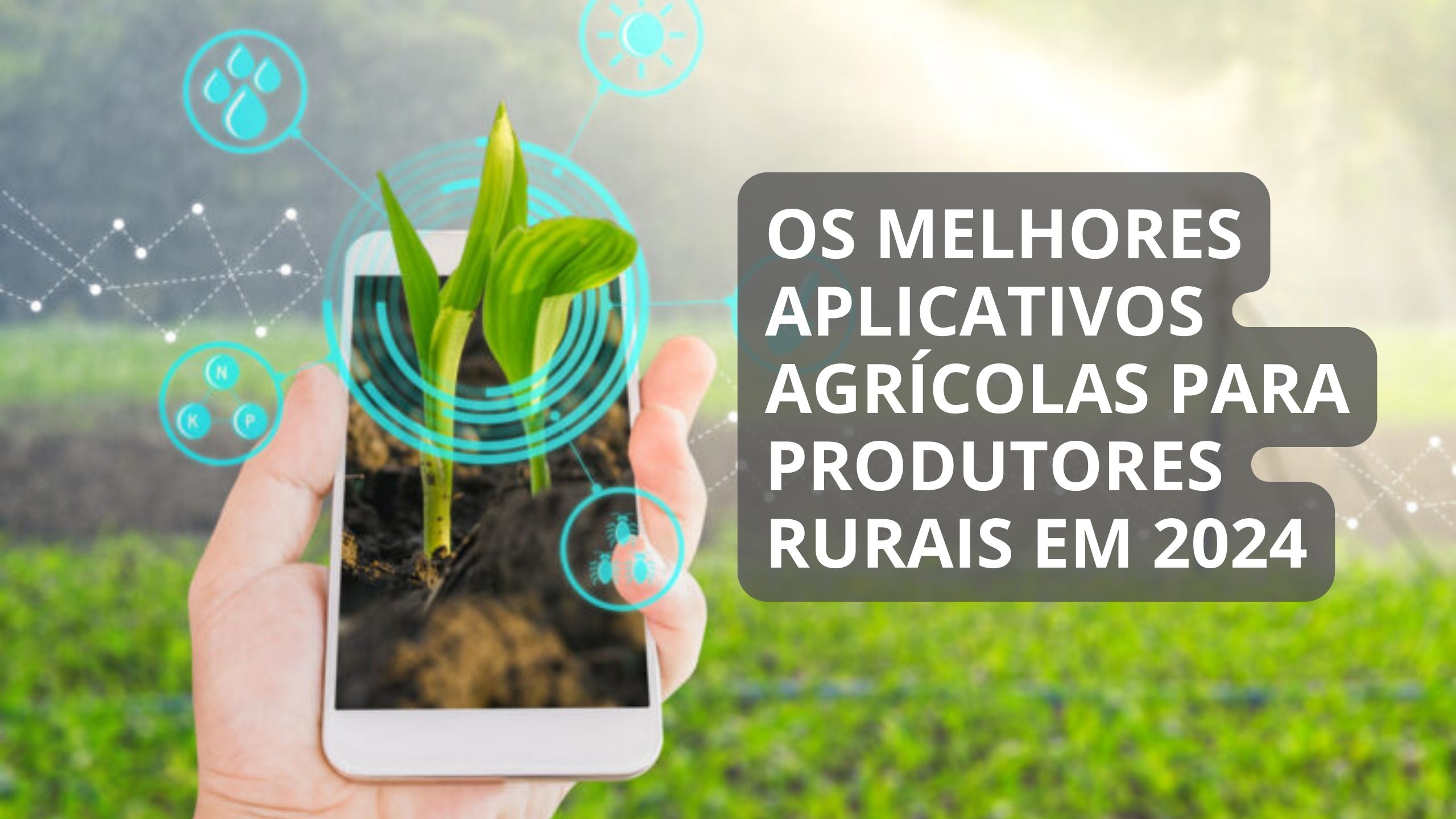 Os Melhores Aplicativos Agrícolas para Produtores Rurais em 2024