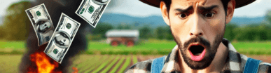 Produtor rural agrícola agro agronomia agricultura planilha de viabilidade calculadora de custo agrícola orçamento